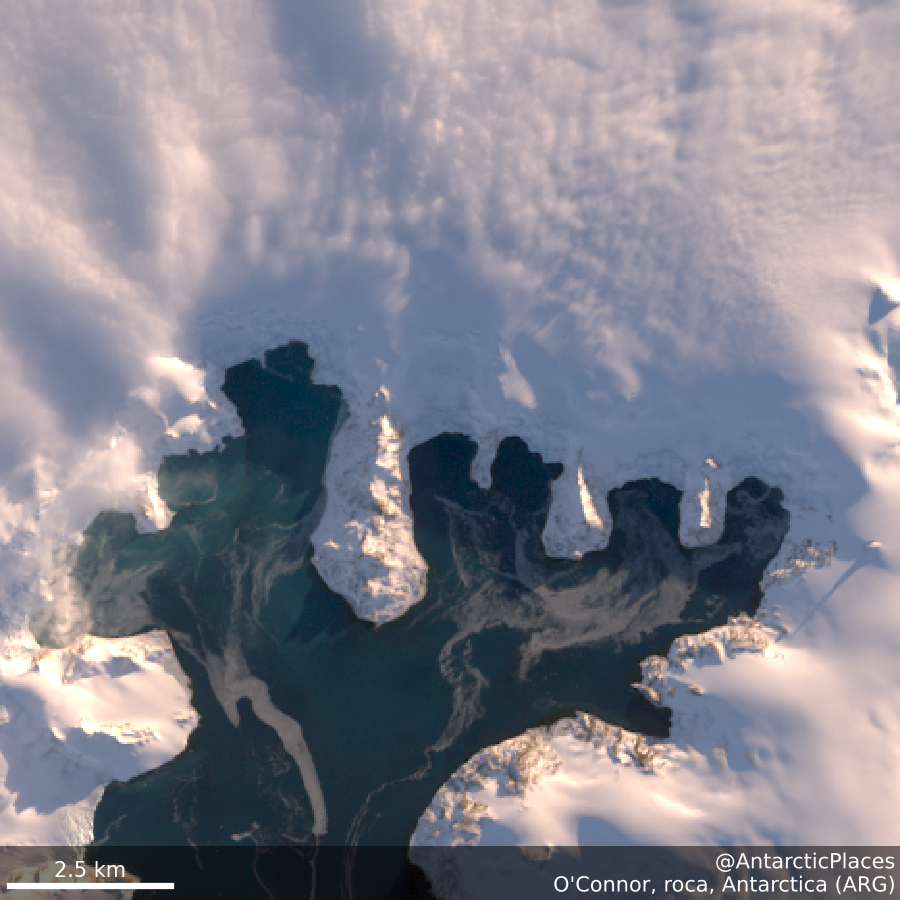 AntarcticPlaces's tweet photo. ❄O'Connor, roca 62s 58ᴡ
💾https://t.co/4sU0jzew5g
🛰https://t.co/j6zVNnEbuM https://t.co/LeTUsdH24U