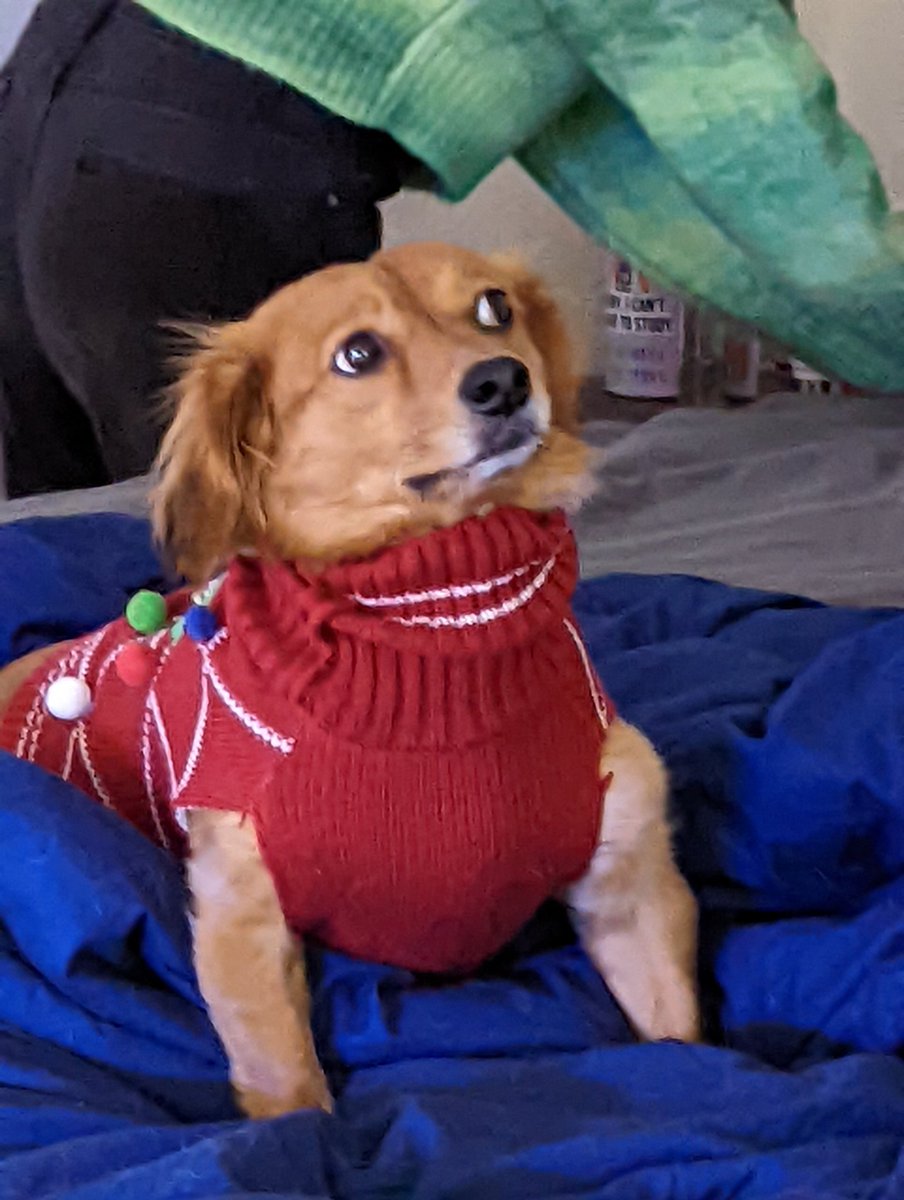 SamRadde's tweet photo. Not happy about the sweater https://t.co/fKbX6ha6Oq