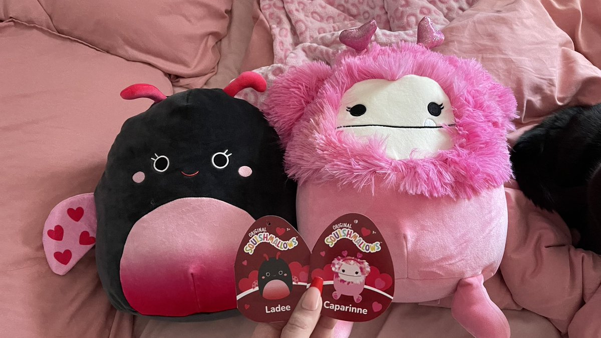 i shop, you pay! 

princess demands it.

findom finsub brat fincuck findomme hypnodomme footfetish