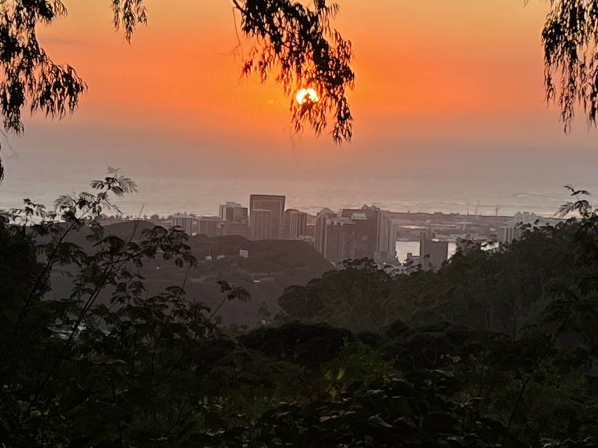 MahinaTreehouse's tweet photo. Heaven on earth #tantalus #oahu #mahinatreehouse #sunset #cleanair https://t.co/oT9rIQmUOT