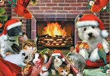 FidoFood's tweet photo. #FIDOPetFoodBank Saturday 🐾December 17 🐾from 9-2 location 14186 Fir St #OregonCity #InflationBuster #CommunityServing #HolidaysAreComing #Pets #Dogs #Cats #AnimalLovers #PetSupplies #PetProducts #CatLitter #HumanPetBond #PetFood #SeasonsGreetings https://t.co/9SMcI2JSCo