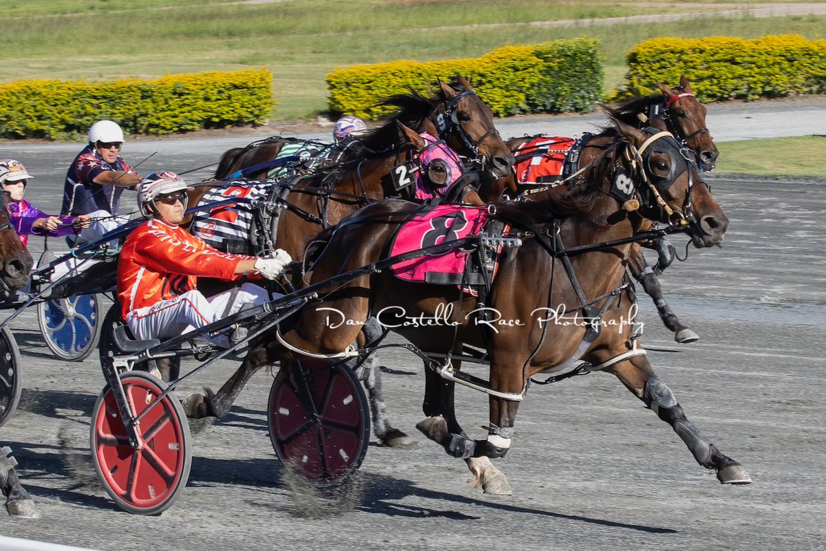 Doubles for <a href="/barnesy1997/">Brendan Barnes</a> &amp; <a href="/DwyerGraham/">Graham Dwyer</a> as Shez Notorious wins race 8 <a href="/redcliffe_hrc/">Redcliffe Harness Racing Club</a>
