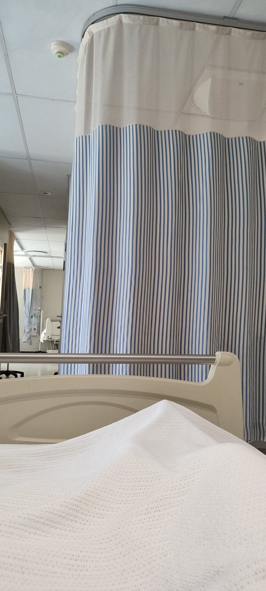 ShazZ_kL tweet media