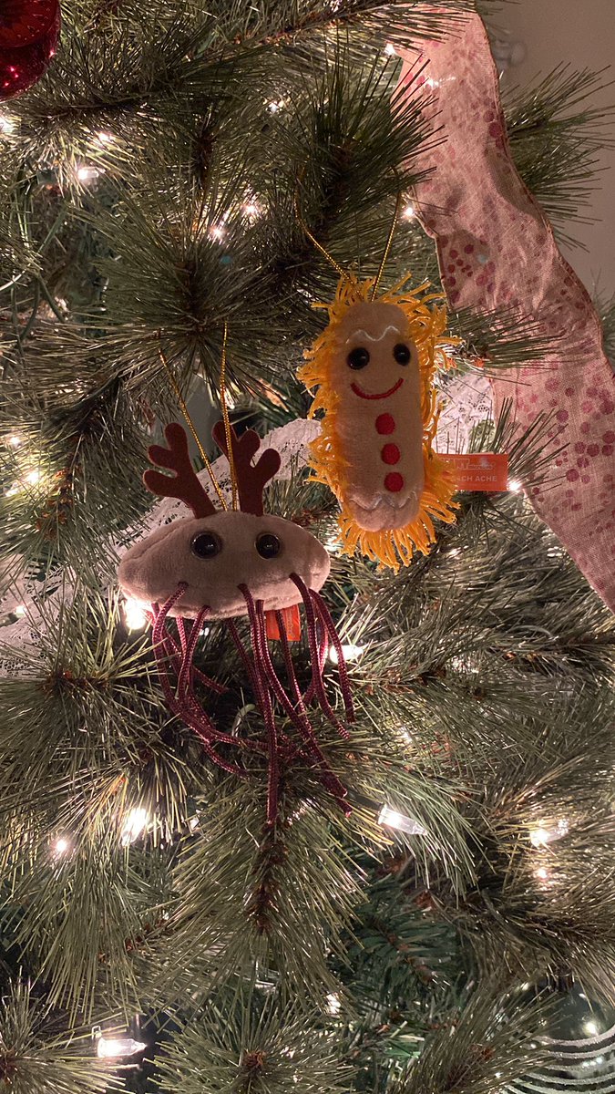 Aeriel_Belk's tweet photo. I cannot stop smiling about my delightful @BSingletons #secretSerratia gift!! This is exactly what I needed to make my holiday a little nerdier 🥰🎄 https://t.co/o3acGZetx1