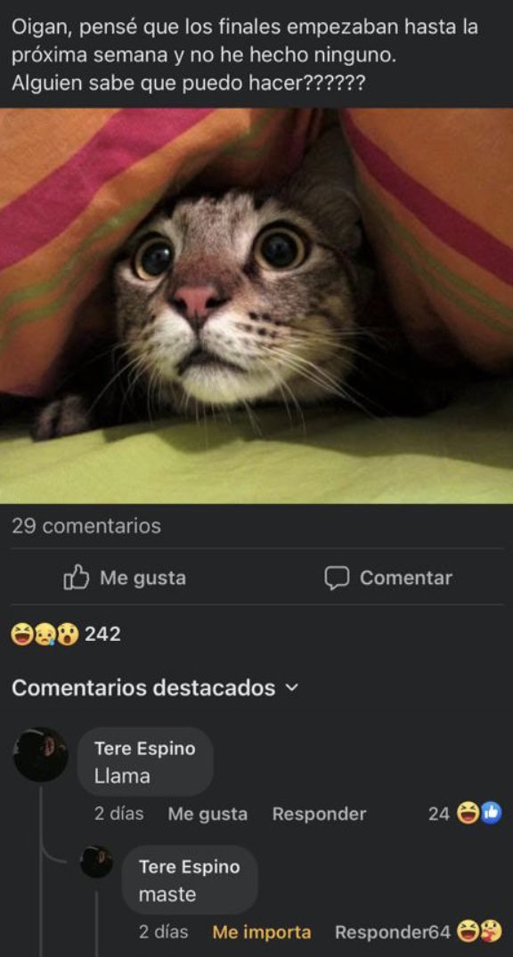 AnaMoctezuma's tweet photo. JAJAJAJA https://t.co/YvKNYcJjl2
