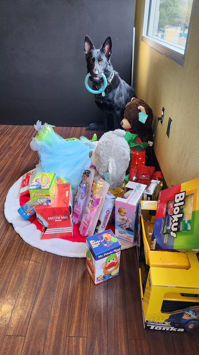 RiverOaksGym's tweet photo. A very special thank you to all our members who contributed to this years toy dive.  Merry Christmas! https://t.co/5MVifOdebG