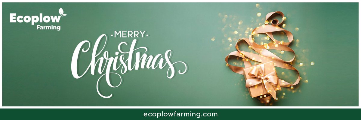 EcoplowF's tweet photo. Celebrate this Christmas surrounded by love and all your close ones. https://t.co/vxCHSV8YBN