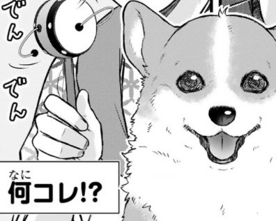 今回のお話は、犬が✨ナニコレふゎーお✨ってなるコマがめちゃんこ可愛いのでぜひお読みください〜☺️✨  #殿と犬 