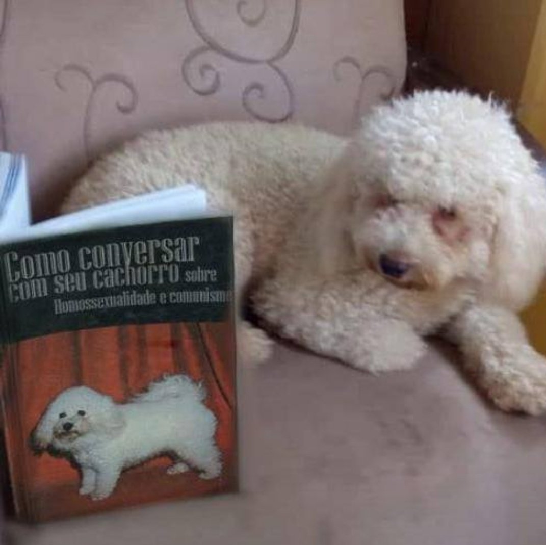 kwhalien's tweet photo. Meu aesthetic favorito são coisas fofas lendo sobre comunismo https://t.co/vmnFhzInk8