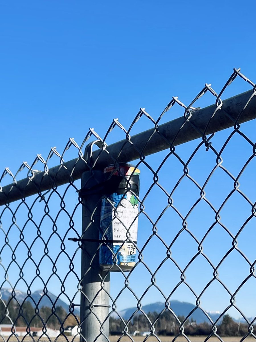 cbmoe's tweet photo. Loved facilitating this #solarography project with our grade 4’s today @LearyIAT elementary!!! Today students installed their #solarcans around the school! Can’t wait to collect and develop them! #solarcan #projectbasedlearning #learyiat #sd33learns @CurriculumSd33 https://t.co/AMnBFeyPFe