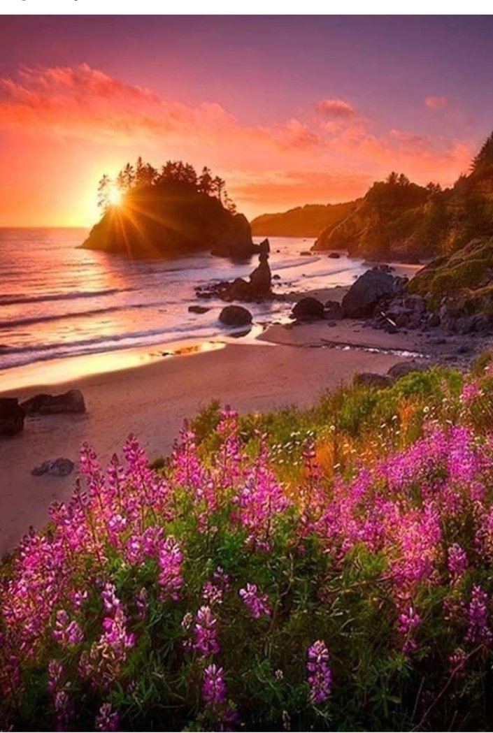 BÜTÜN GÜZELLİKLER SİZLERİN OLSUN, DEĞERLİ DOSTLARIM #GÜNAYDIN #YENİGÜN #PERŞEMBE #SEVGİ #SAYGI #MUTLULUK