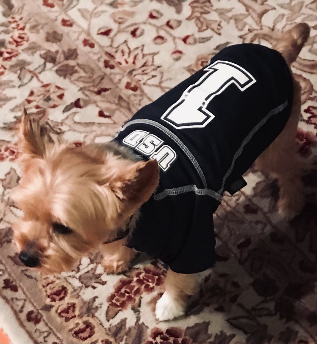 This guy will be cheering on ⁦<a href="/USDVolleyball/">San Diego Volleyball</a>⁩ tomorrow night on their way to number one! #GoToreros #BeatTexas