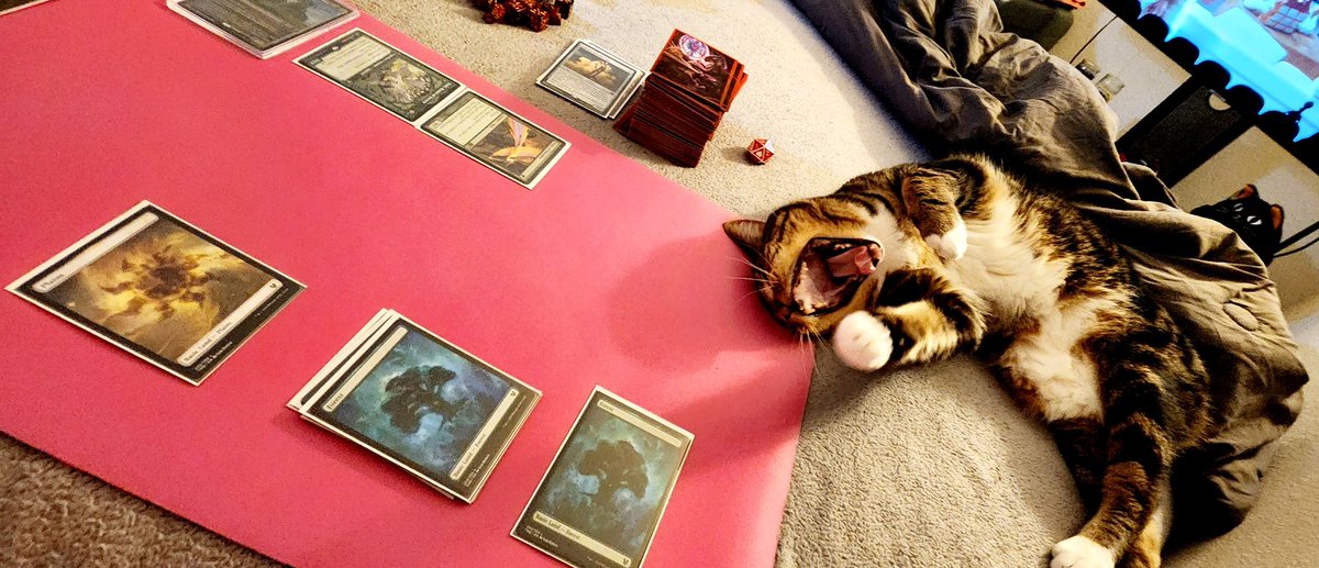 When someone plays Teferi's Protection 🥱🤣 #Magic #MagicTheGathering