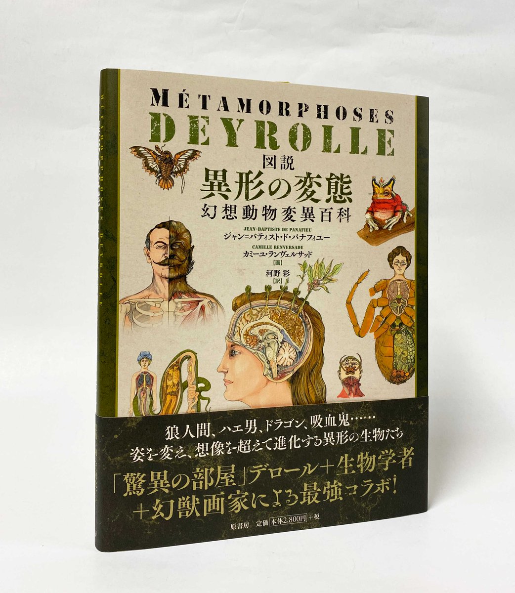 リアル 狼男 ハロウィン 衣装 コスプレ マスク オオカミ ビンテージ, image size:1042x1200