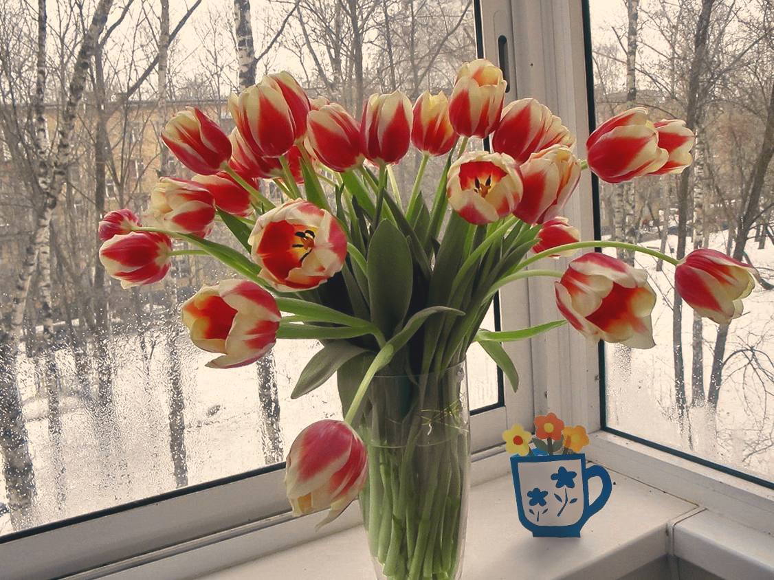 Цветы вернулись в мою жизнь)))