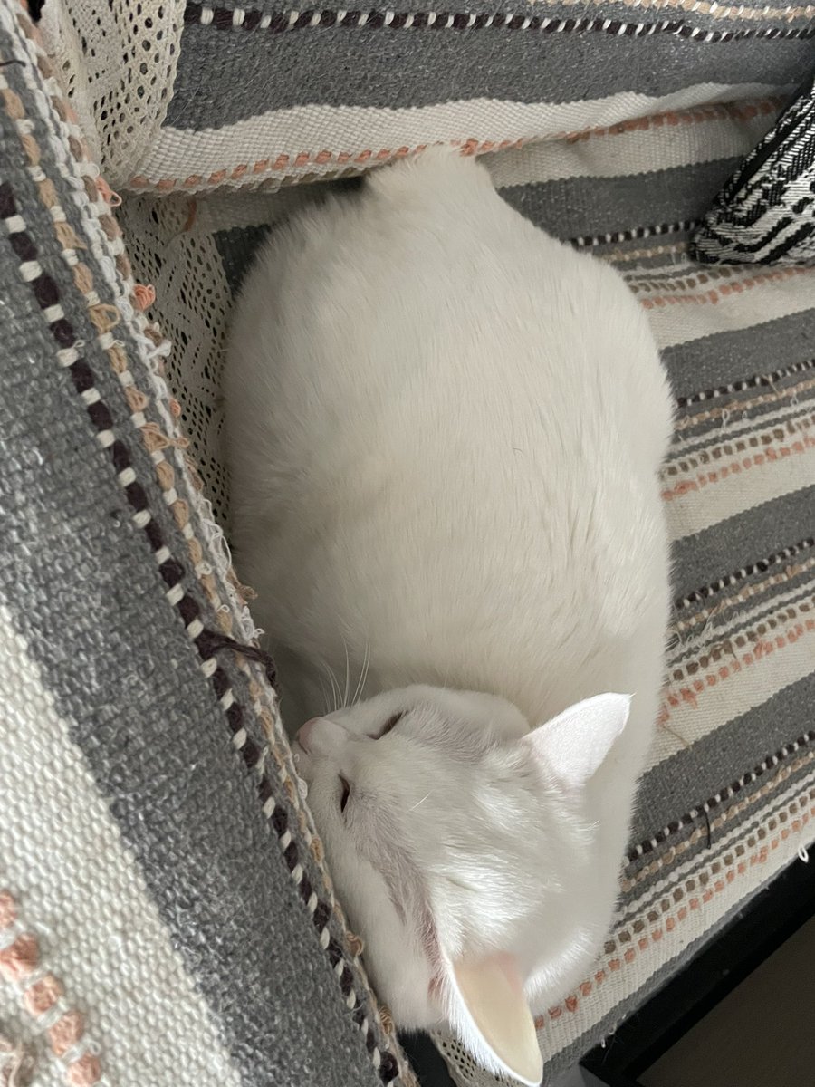 Tvdaiqbhdj7alm Tvdaiqbhdj7alm