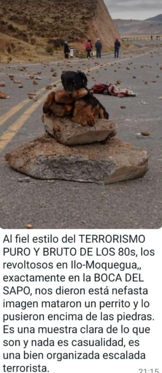 Lo más ruin de personas que no han crecido ni sanado sus resentimientos más profundos es causar daño a otro, usualmente, al más indefenso. Una sociedad que no sabe dar amor, y destruye es una sociedad enferma. Revisa tu escala de valores, y lo que defiendes.
Rip angelito. 🐕😢🐾