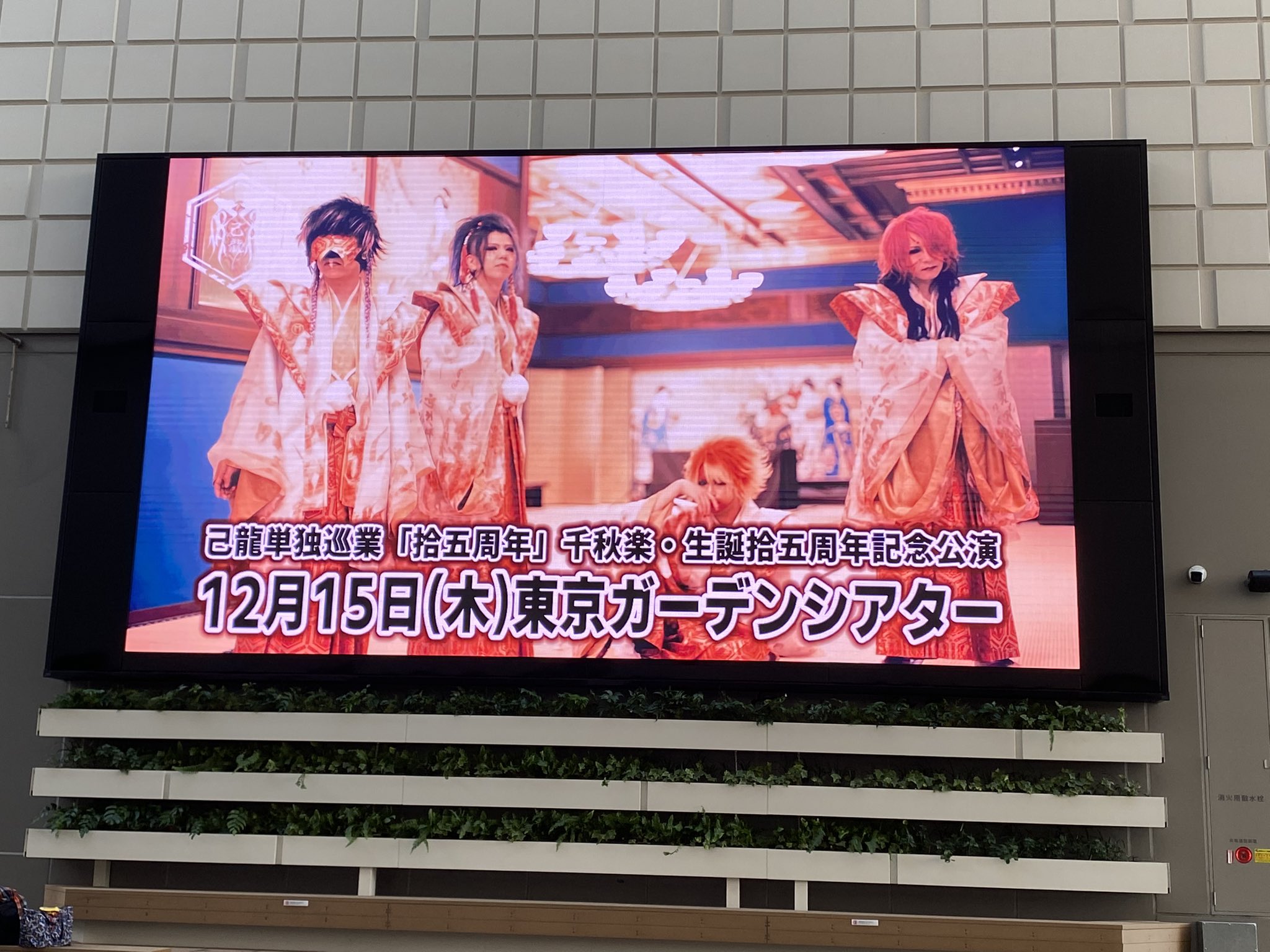 【匿名配送】己龍 子龍 会報 9～14、18～20 己龍