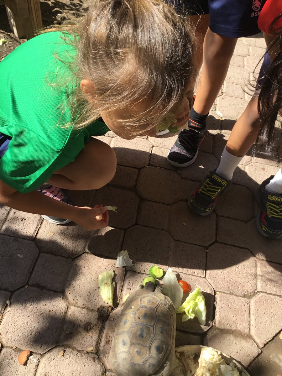 BSM Year 1 tweet media