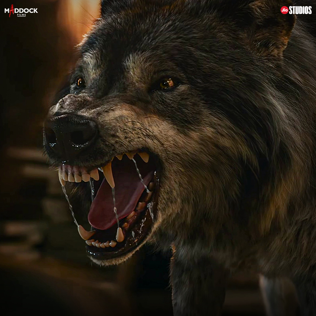 MaddockFilms's tweet photo. ⚠️: This 🐺 is known for winning hearts! 💥

#BhediyaInCinemas

@Varun_dvn @kritisanon @Deepakyahanhai @nowitsabhi #PaalinKabak @amarkaushik #DineshVijan @jiostudios @ZeeMusicCompany https://t.co/GY0yhlv8LL