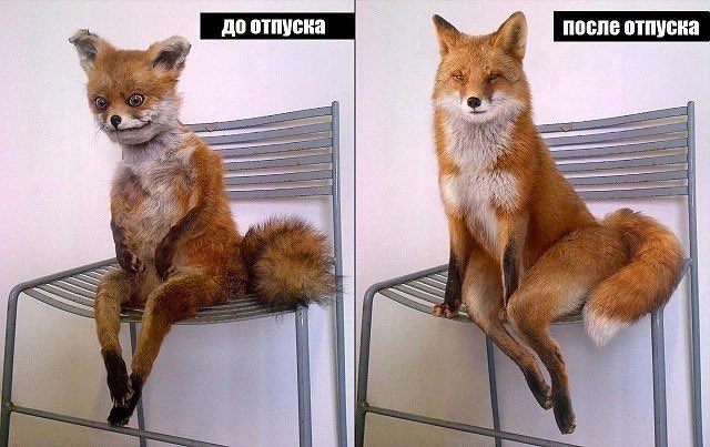 мне не понять вторую картинку, зато первую feel 1000%