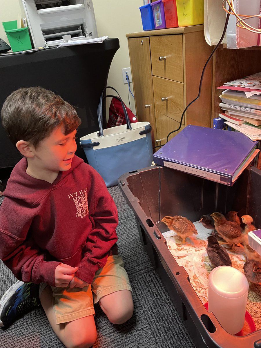 Today was a tough day. We told the class that Mrs. Levi is leaving. Mrs. Levi has gone above and beyond. I am so thankful the kids and I got to make memories with her, even if it was for a small amount of time. Thank you for all of your support Mrs.Levi. <a href="/IvyHawnSuhr/">Ivy Hawn Principal</a>