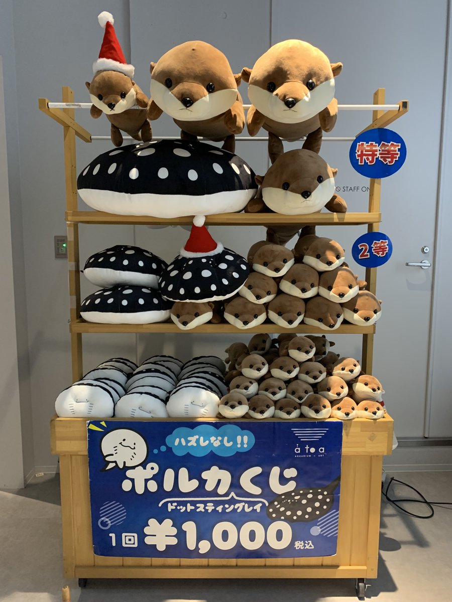 ハズレなしのぬいぐるみくじ。 カワウソも選べるけど、アトアは白黒