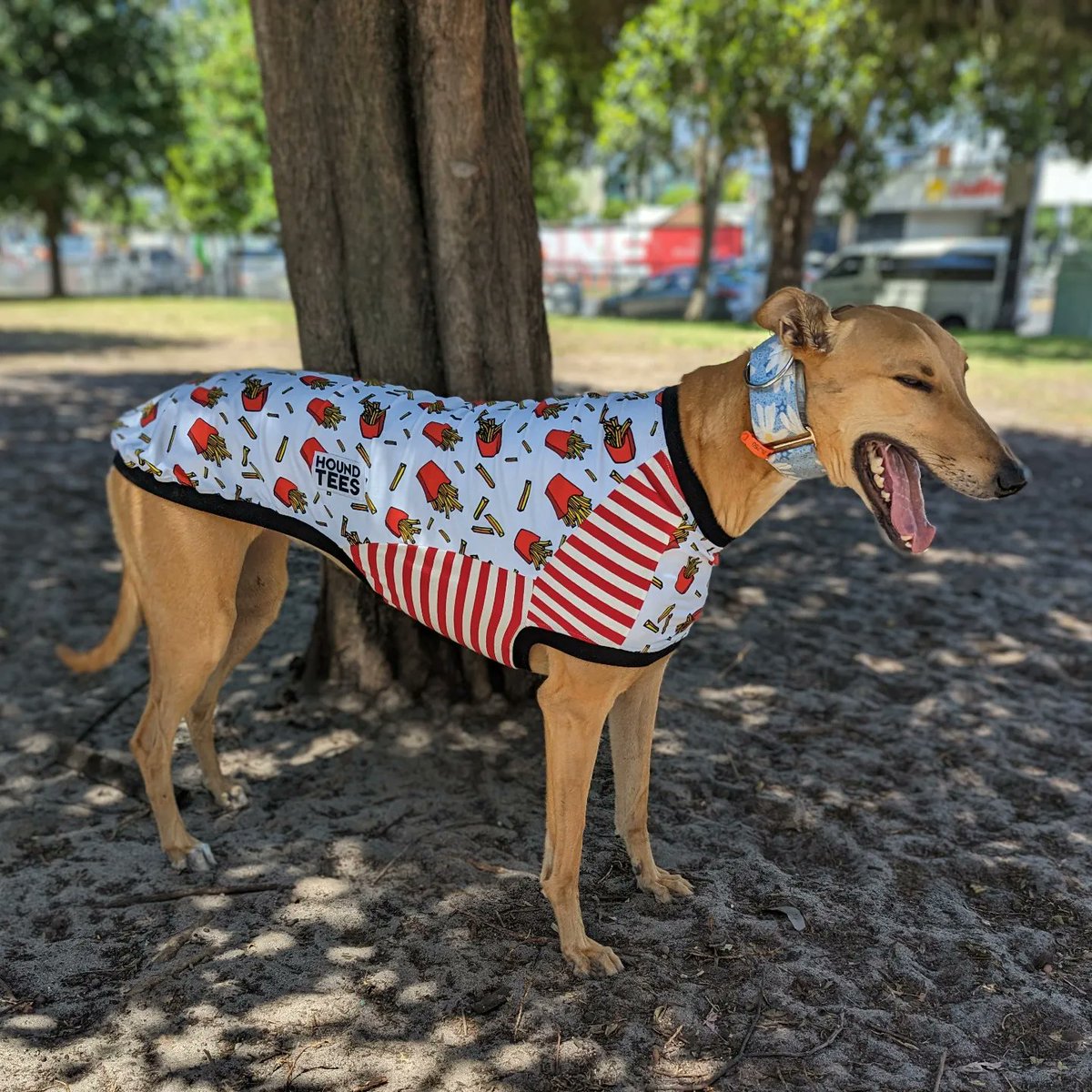 Chip fiend Noodle in one of her new Houndtees