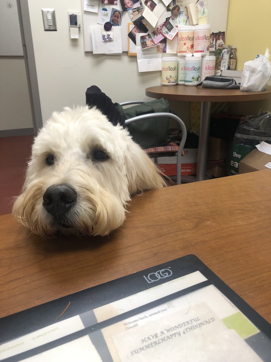 Lisa Lima, MD tweet media