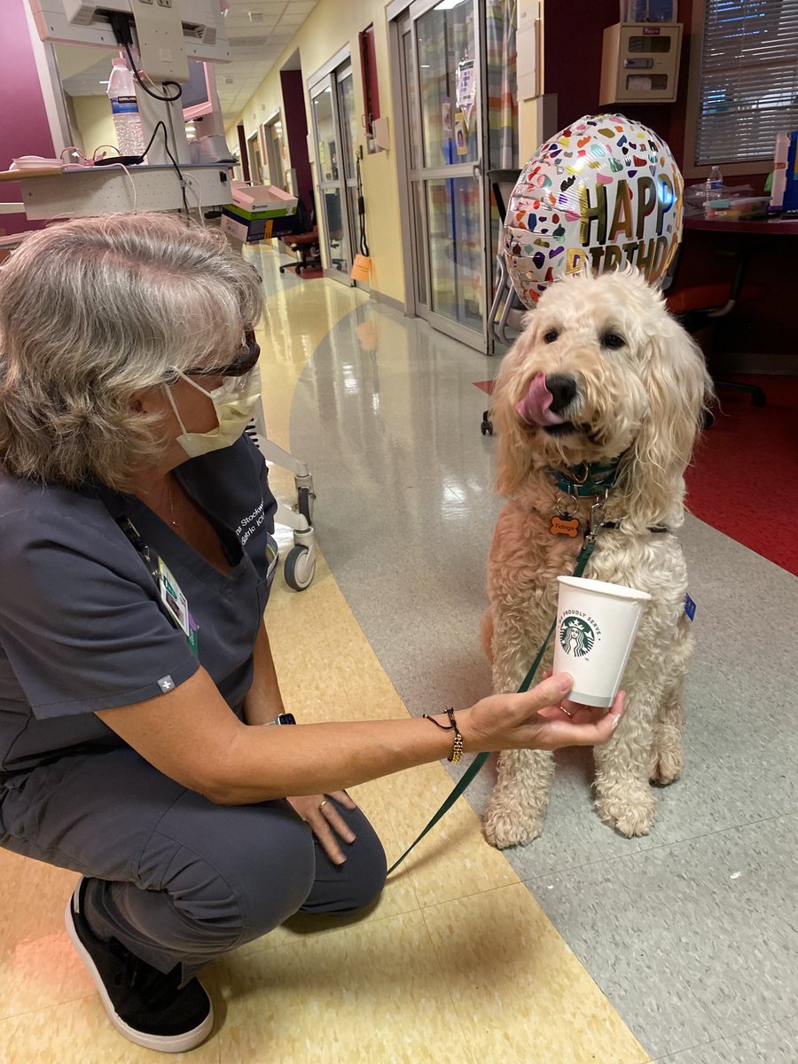 Lisa Lima, MD tweet media