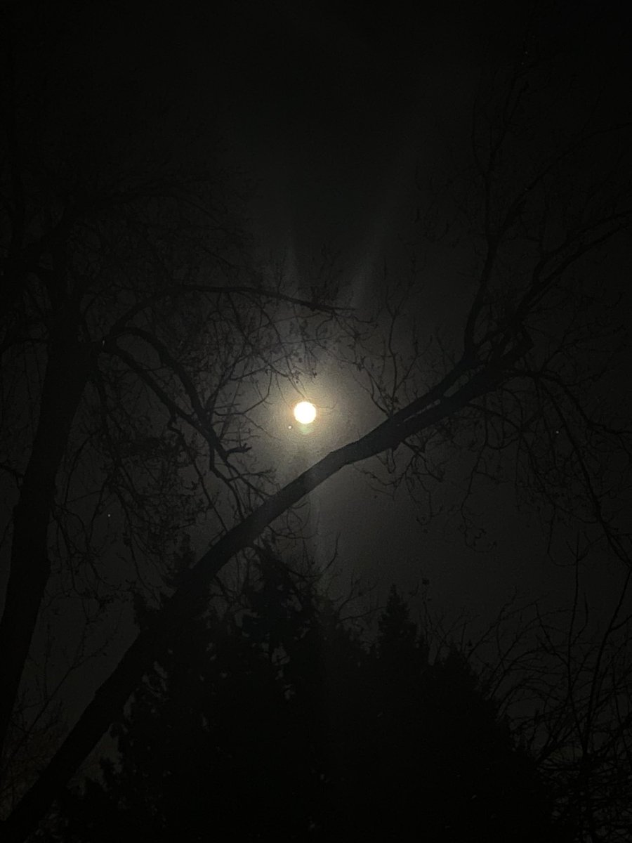 MichaelinPhilly's tweet photo. I love when astrology comes alive in the night sky.  Moon conjunct Mars in real life, ya’ll.

#astrology #astronomy #MoonConjunctMars https://t.co/hO7MKS8zYD