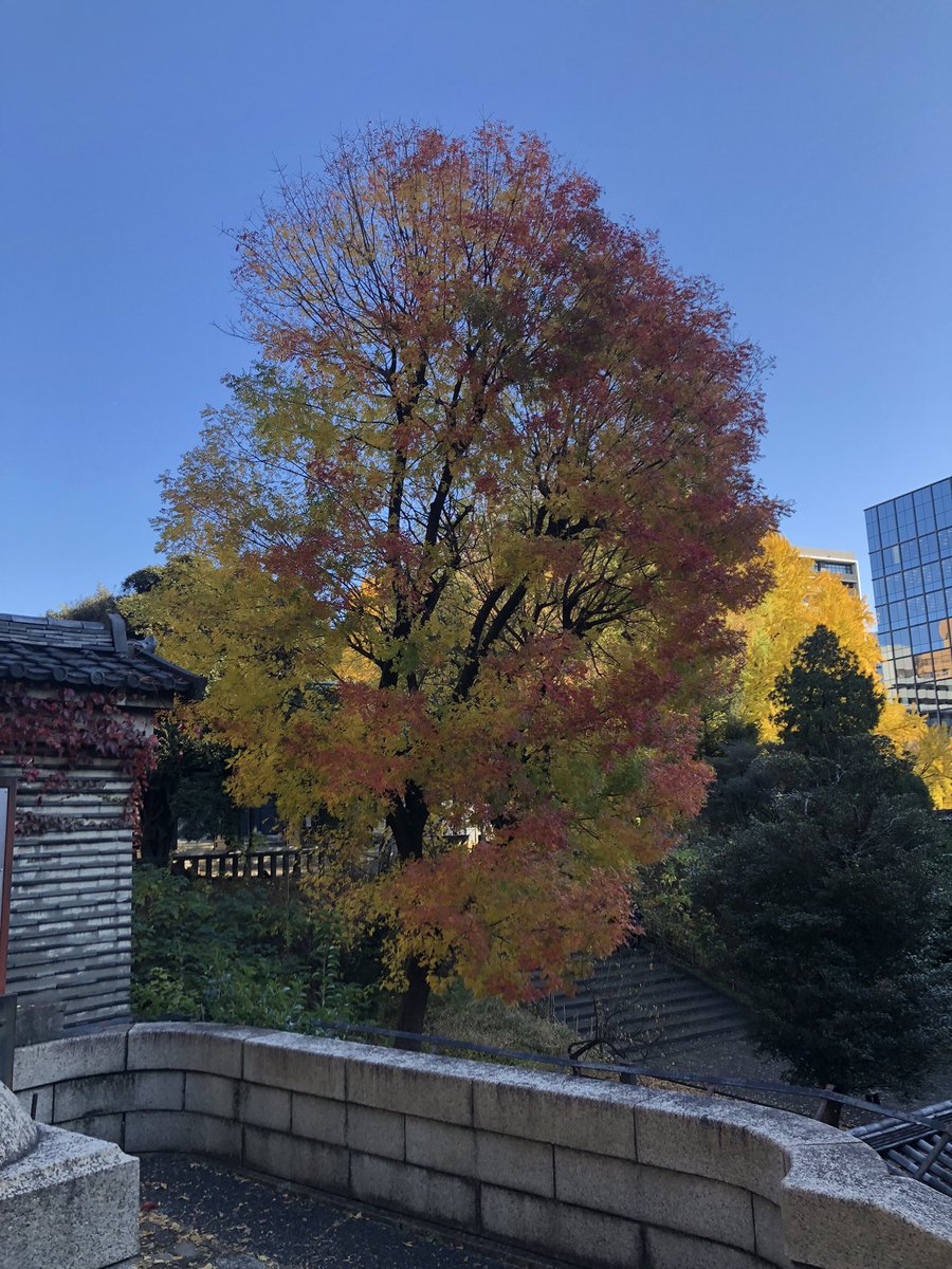 TensinTweet's tweet photo. 令和四年十二月。
本年最後の月詣り。
神田神社に参詣させて頂きました。ご縁あった全ての方々の幸せを祈念し、人形も納めさせて頂きました。本年もお付き合い頂きましてありがとうございました。#令和四年 #神田神社 https://t.co/Z3ID4FSahs