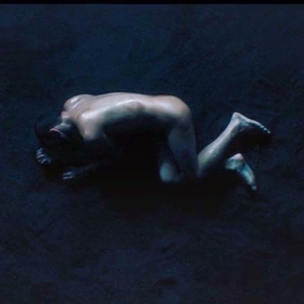 Mike Pecci tweet media