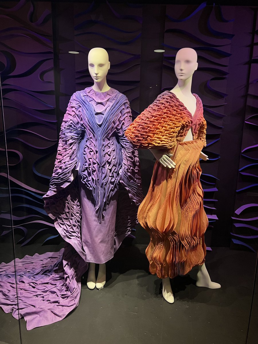 Amanda Cosco tweet media