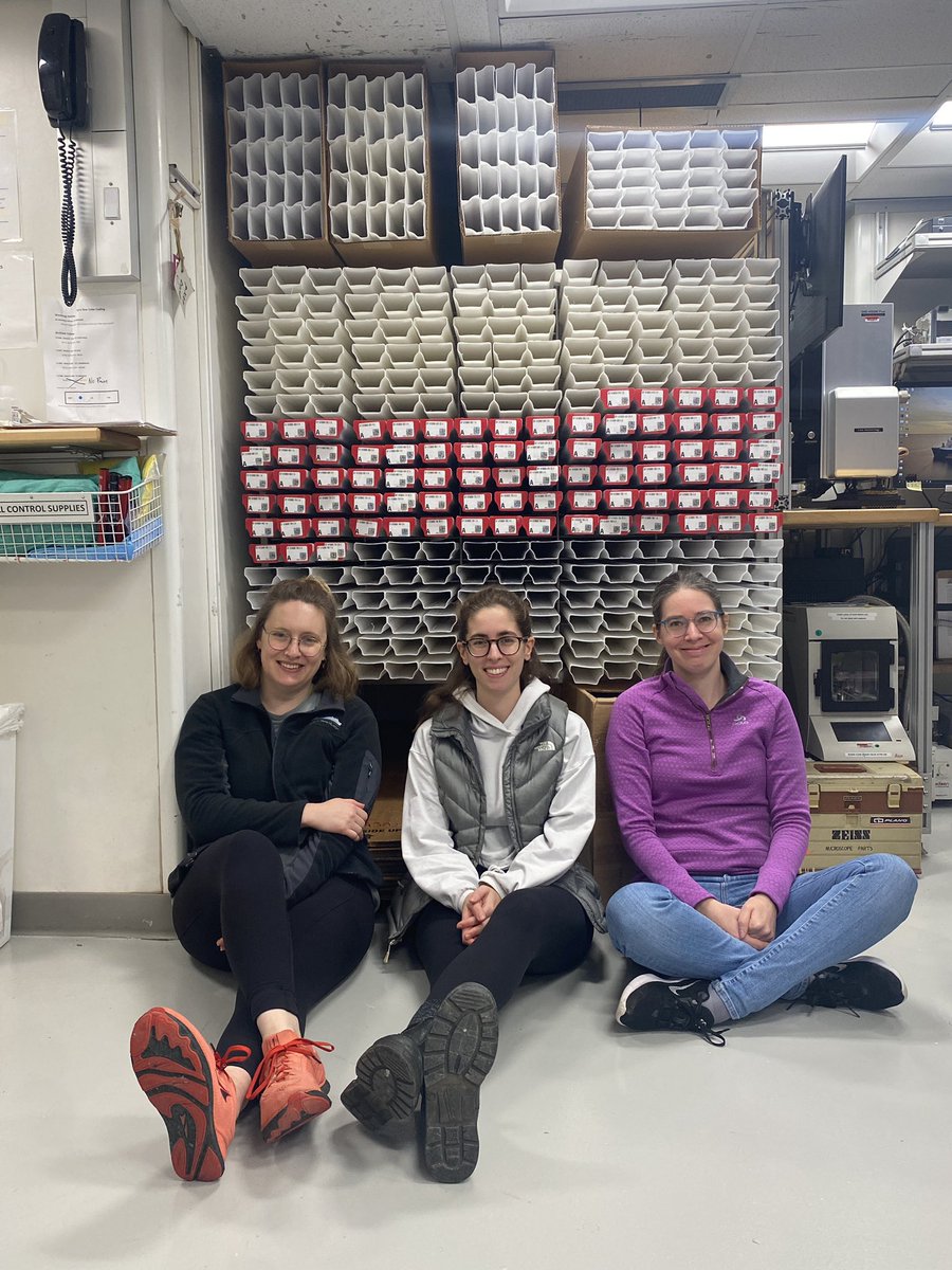 Hannah Brooks tweet media