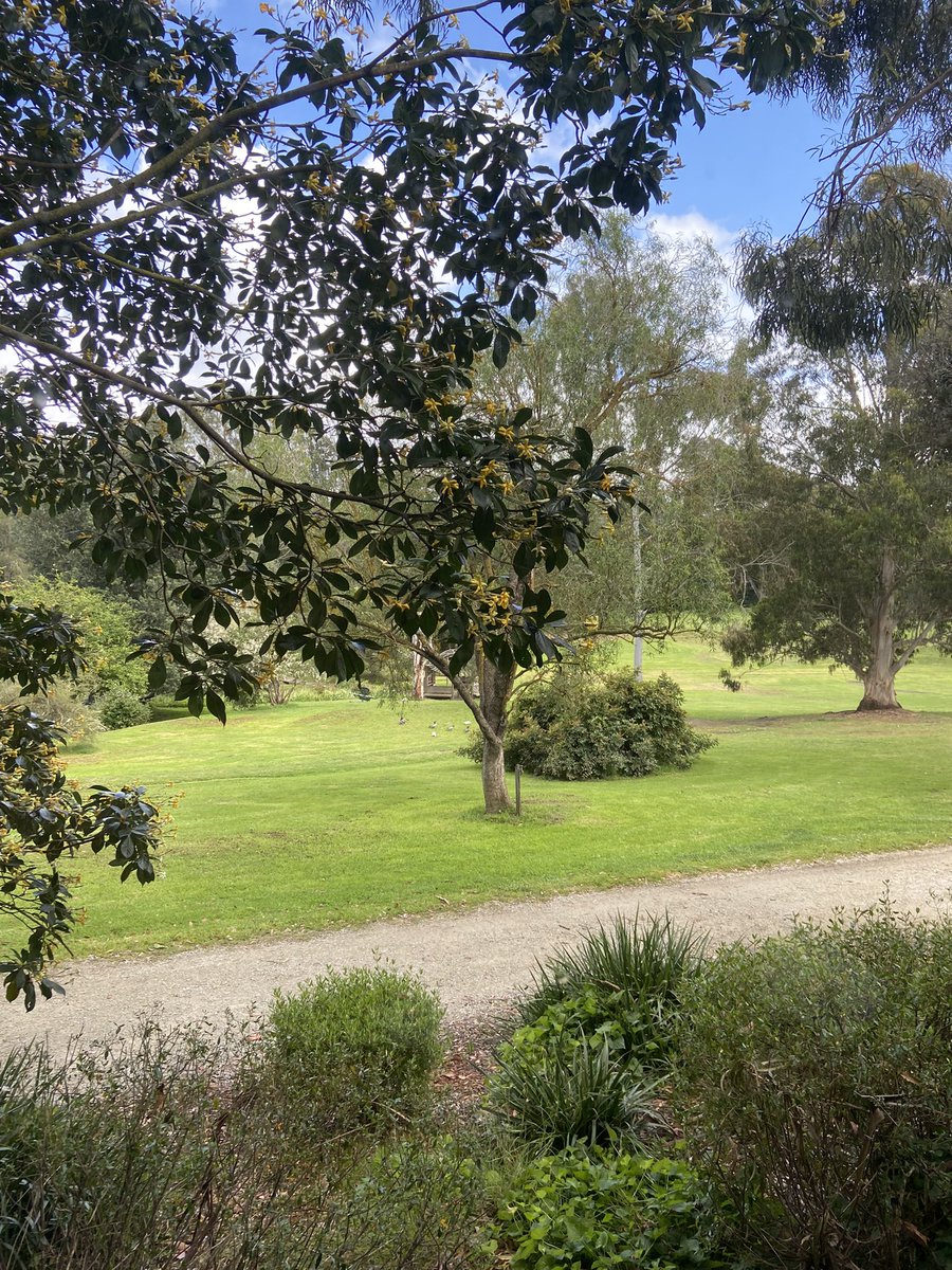 Prof. Chris Langmead tweet media