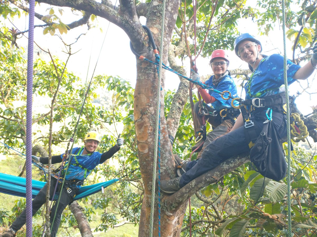 Patrick Brandt tweet media