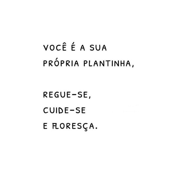 UmFilosofoCitou's tweet photo. https://t.co/dzVGQG3cx3
