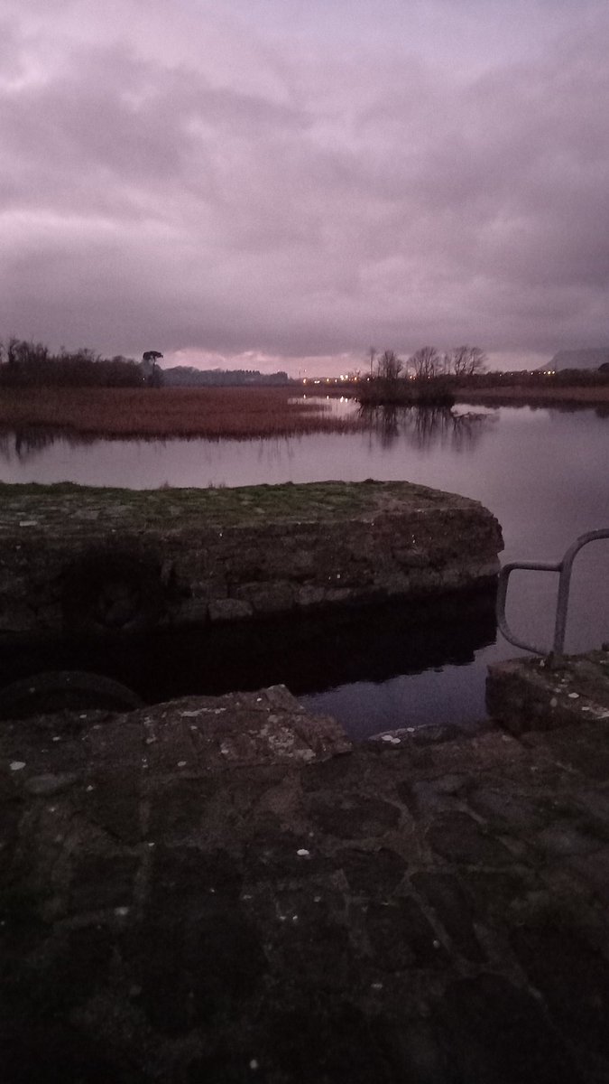 SwiftJoan's tweet photo. Lovely #TripChaining bike ride this afternoon, via DoorlyPark to town and return. 7 tasks completed, 5 different drop offs &amp; 2 #ShopByBike to refill panniers. Doing by car I would have missed the fresh air, the exercise  and the moon! @jackiemcguin @choosesligo @TheConnieNell https://t.co/aSKH12Ur0A
