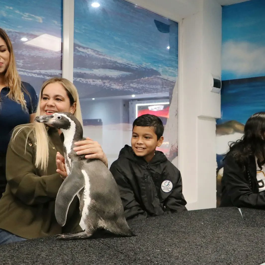 DIFMazatlan's tweet photo. Integrantes del Cabildo Infantil 2022 visitaron el Acuario Mazatlán acompañados por María Teresa Apodaca Muñoz, presidenta de DIF Mazatlán, donde además de recibir sorpresas, disfrutaron de los pingüinos y lobos marinos. https://t.co/GjX3JzkagG