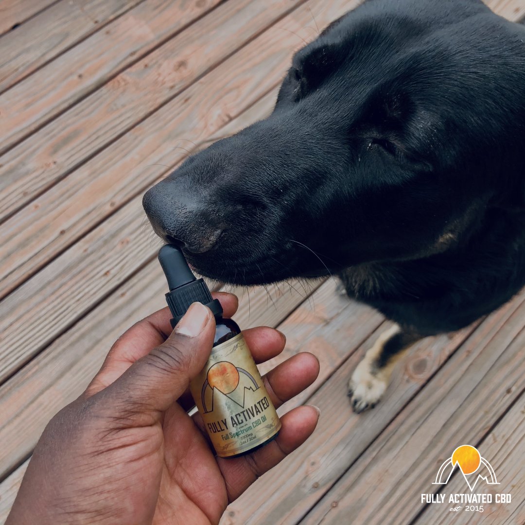 Fully_Activated's tweet photo. CBD might just be the answer you’re looking for to help pets regain their calm.
#speciallyabledpetsday #nationalpetweek #cbdcats #cbdpets #cbd #cbdoil #cbdproducts #cbdpet #cbdforpets #pets #health #dogs #cbdog #doglovers #doganxiety #cbdpainrelief #cbdpetoil #cbdforcats https://t.co/Yd9rmxGBcO