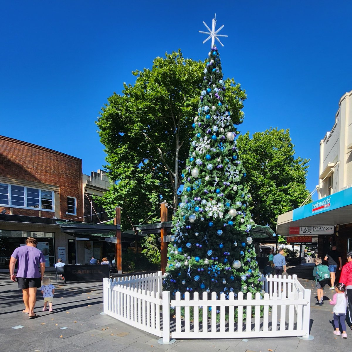 It's such a stunning day today and the Lane Cove Plaza Christmas Tree looks amazing.

#auspol #nswpol #lanecove