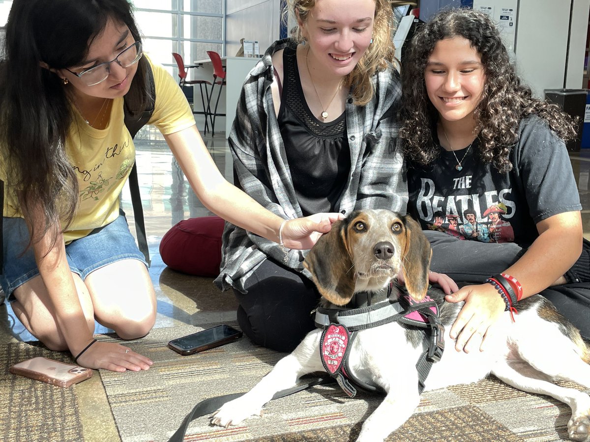 FAULibraries's tweet photo. Wimberly PAWS was a success and it’s fair to say that we are all a little less stressed after petting K9 Vallie, coloring, and getting tips on anxiety and burnout from Owls Care. Thank you to all the students and staff who stopped by! 
#dogsinthelibrary https://t.co/aQlo4pJItn