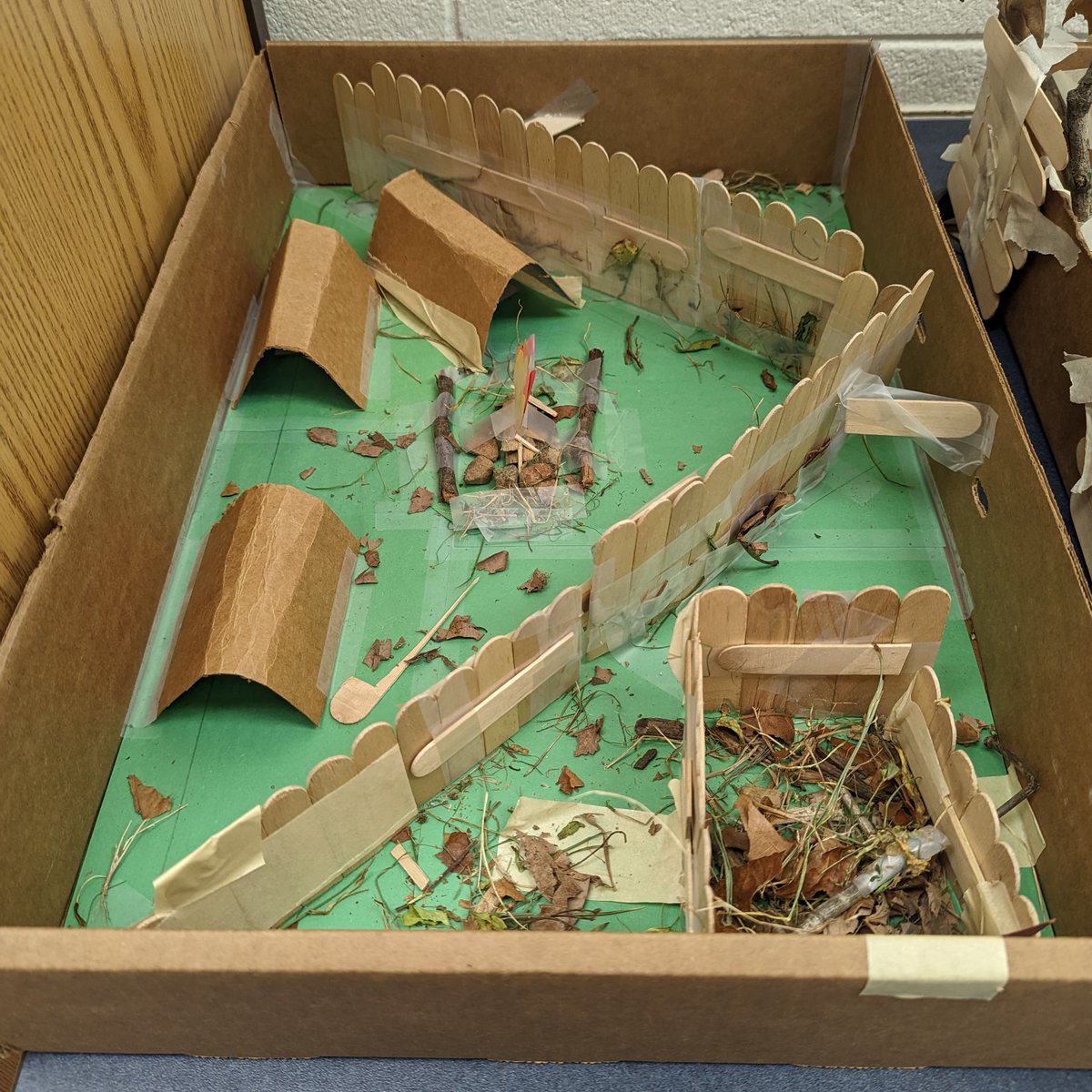 Ms. Schechter tweet media