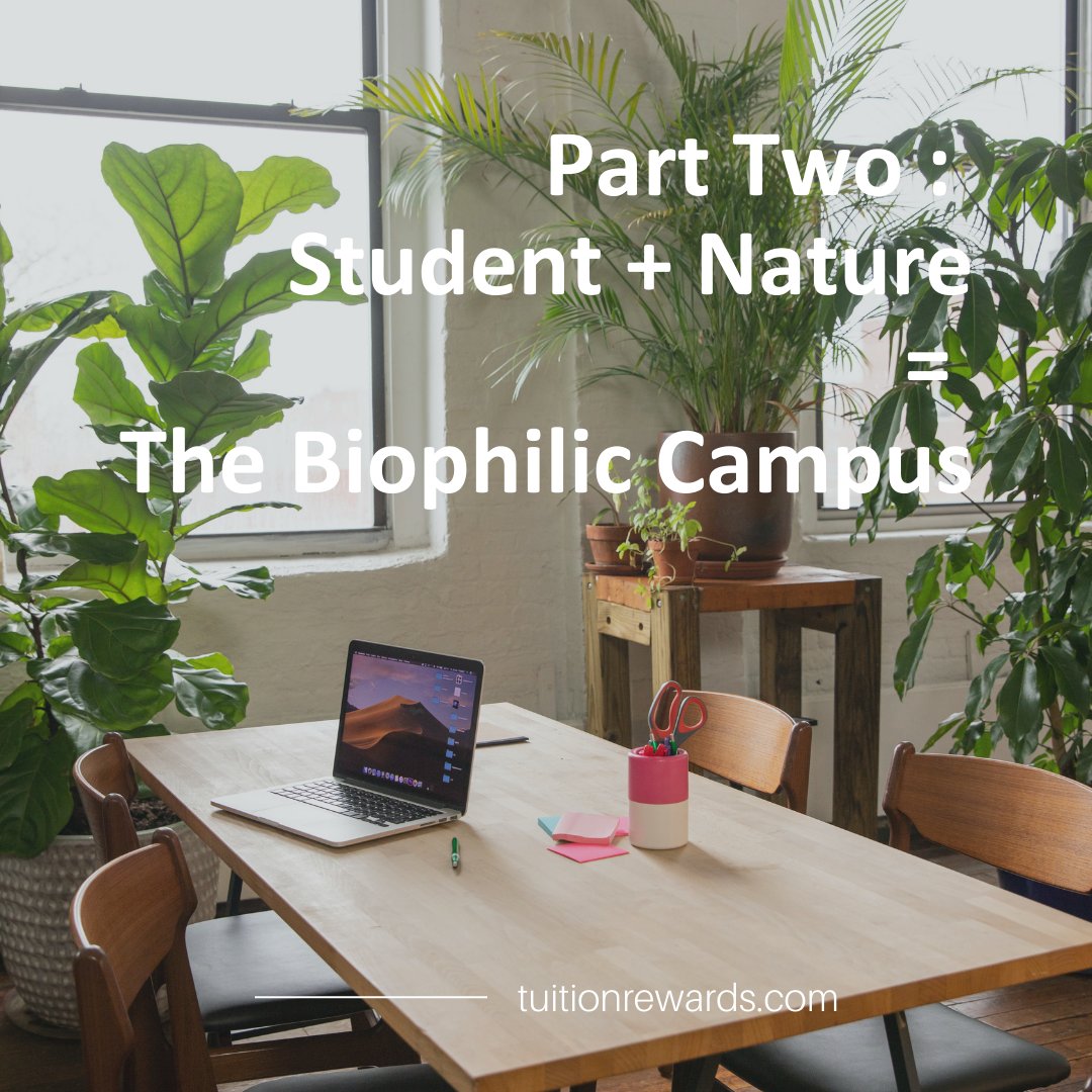 SAGEScholars's tweet photo. Having plants around your environment, going for a walk outside, and being by water or mountains are excellent examples of nature's calming effect on us. #biophilia #college #natureeffect #nature #slowdown #houseplant #ocean #mountain #calming https://t.co/tAhgh4kwaG https://t.co/GI4t1r16nY