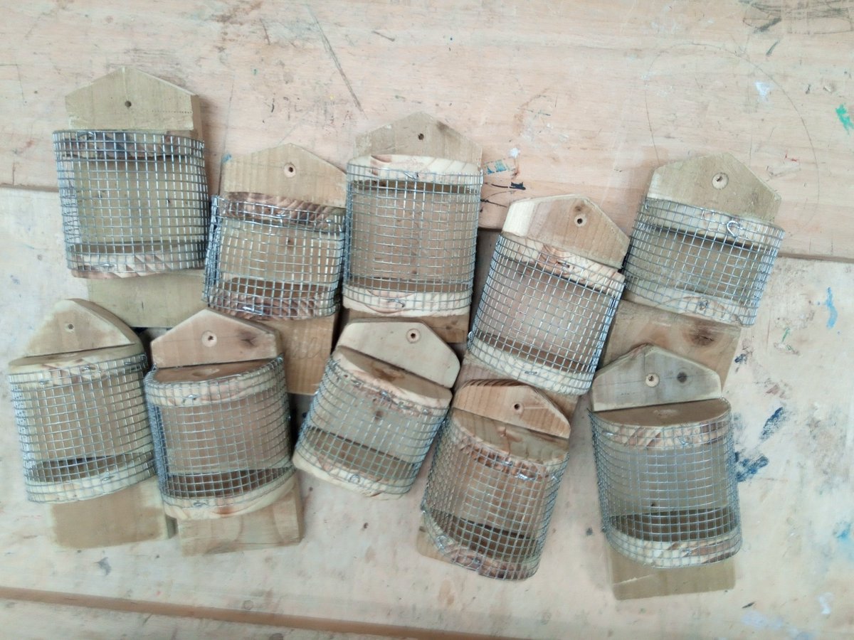 St.MauricesTechnical tweet media