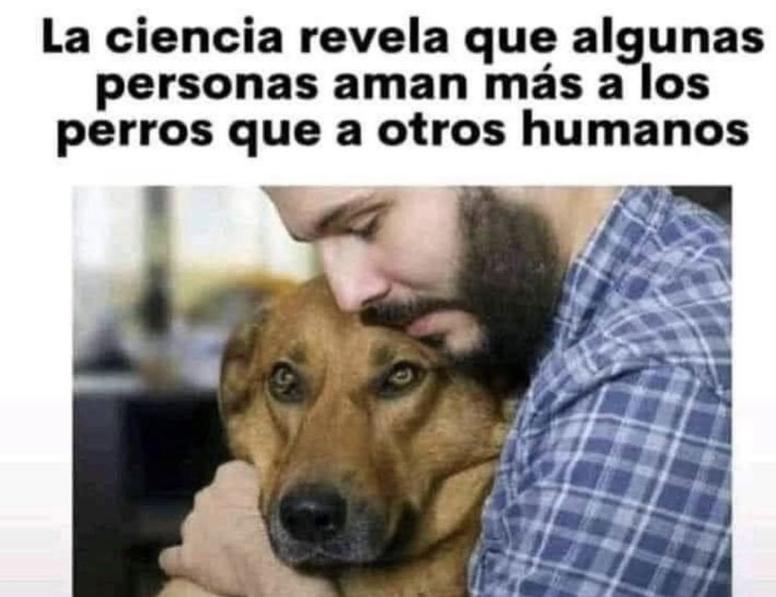 Felicitas73_'s tweet photo. Como si hiciera falta que lo confirme la ciencia. https://t.co/HdZL1VLKhA