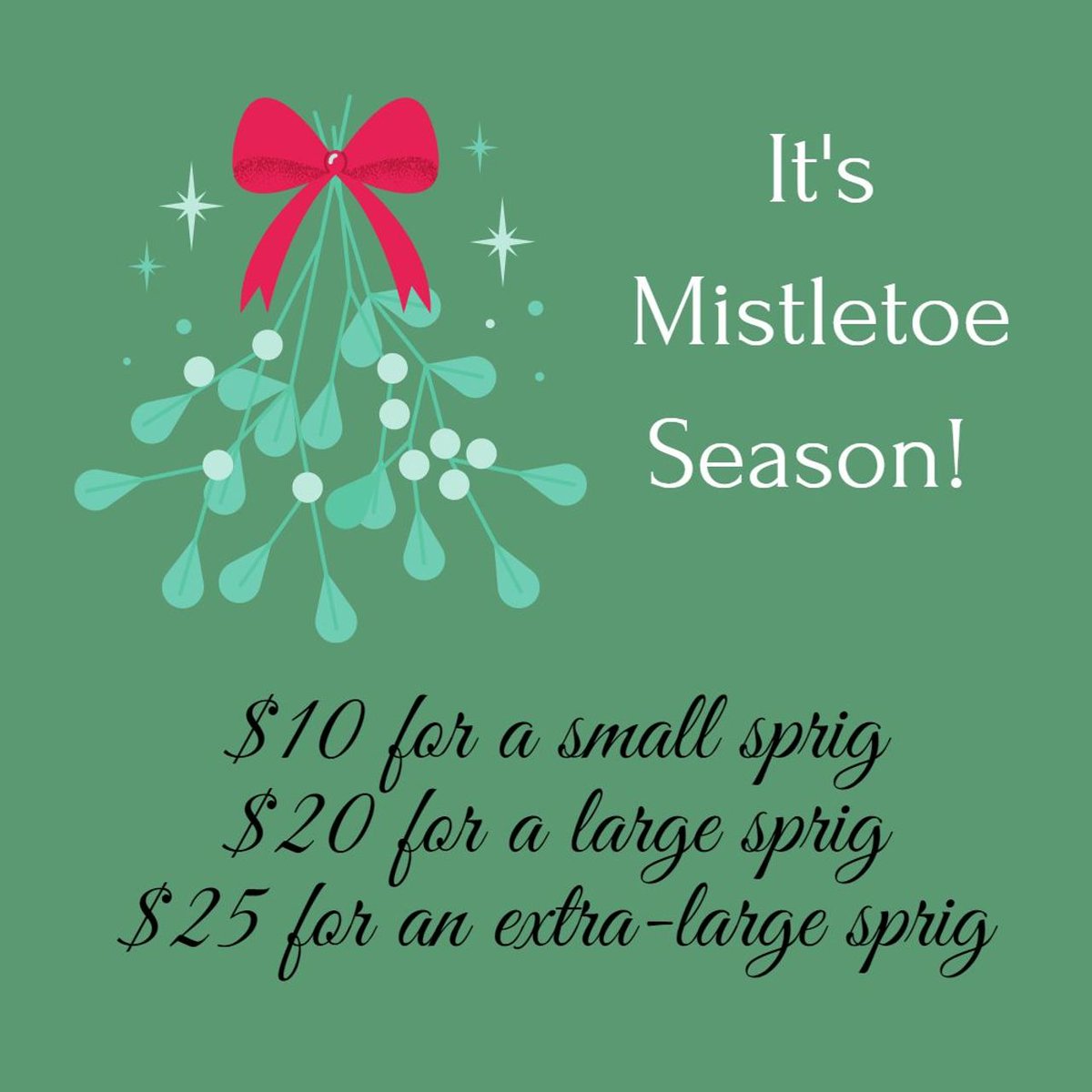 Need a hostess gift for ALL of those events you're going to? Our Museum Docents have decorated sprigs of Mistletoe, and they make great gifts!
You can pick up any size at the Museum, or pick up a small sprig @CornerDrugCafe