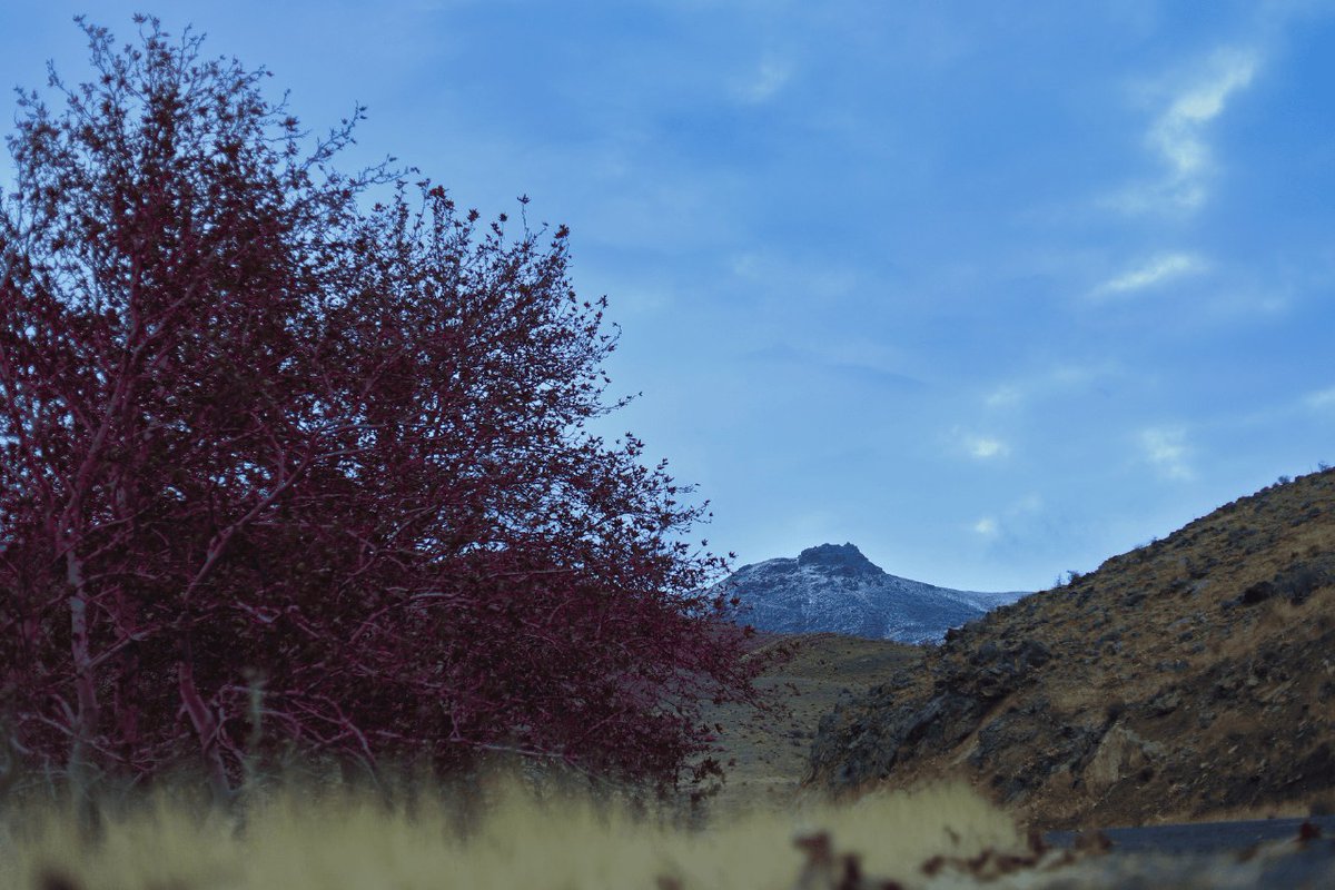 moohakoo's tweet photo. Hi
Today was a difficult day, but I got through it,
And I tried my best to upload a new work...
Thanks to myself for description of this work😂

"winter is coming"

1/1  0.033 Eth

Thank you for your support my dear friends❤️
https://t.co/2FdddeCAiG
@opensea #NFTCommunity #NFTs https://t.co/FrKZVcoTme