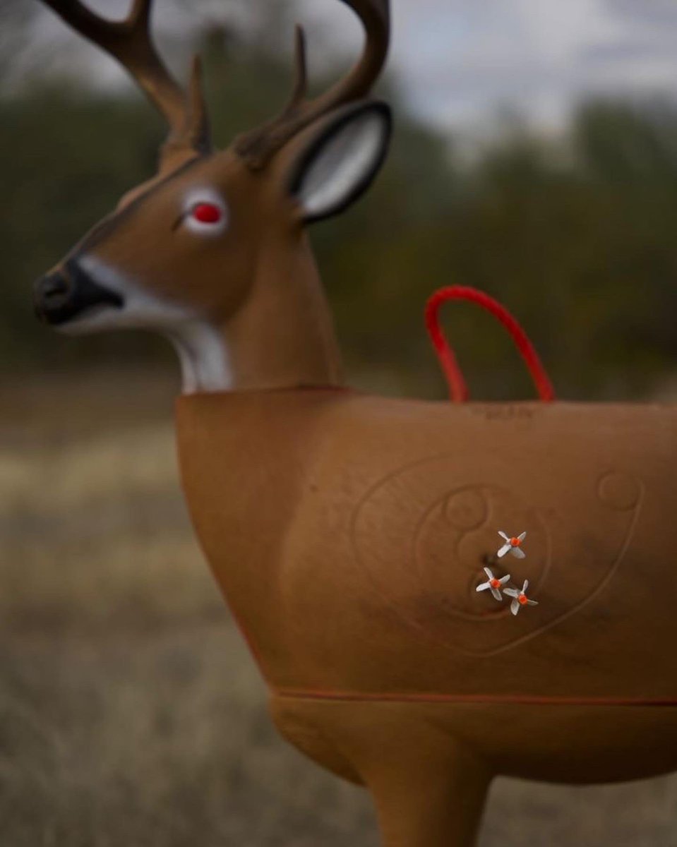 MorrellTargets's tweet photo. Full send 🤘
Photos: @hubbz14
#morrelltargets #huntingstartshere #shootmorrell #archerytarget #archery #3Dtarget #transformerbuck #bowhunting #bowhunter #deerseason #deerhunting #shootyourbow https://t.co/wccNIWNPlt